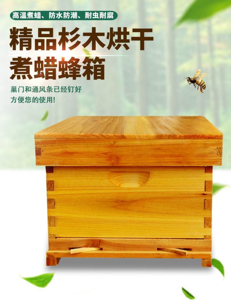 蜜蜂箱中蜂煮蜡标准十框全杉木蜂箱浸蜡高箱意蜂蜂箱全套养蜂