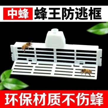 蜜蜂工具中蜂防逃框防盗器防蜂王飞逃防意蜂盗中蜂巢门防跑片