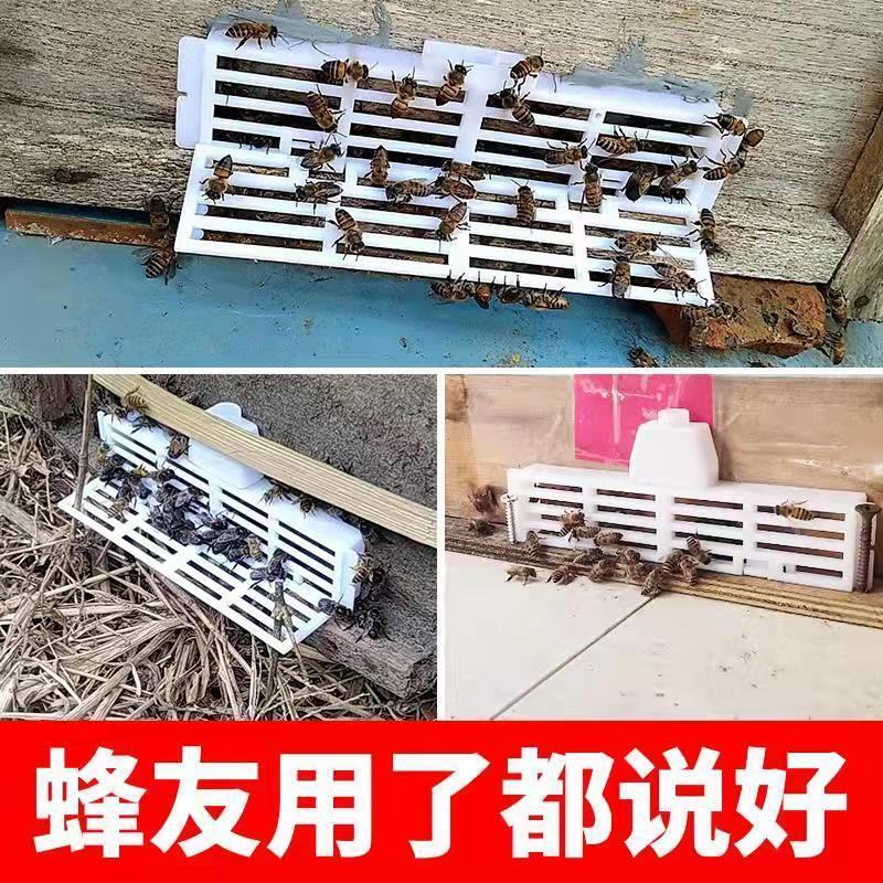 蜜蜂工具中蜂防逃框防盗器防蜂王飞逃防意蜂盗中蜂巢门防跑片