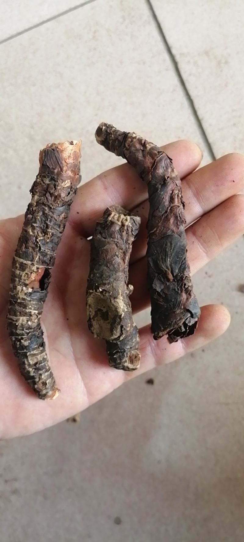 血三七盘龙七干货血三七不满意可退换货
