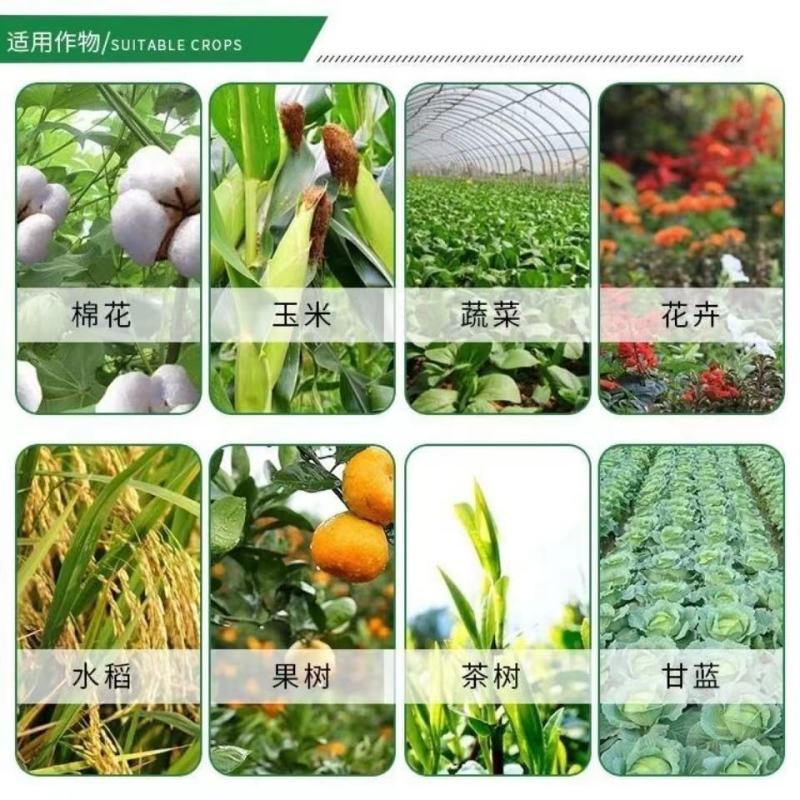中科透皮5%阿维菌素果树蔬菜甘蓝小菜蛾柑橘树红蜘蛛水