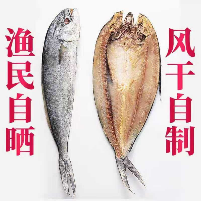 日照咸鱼厂家一手货源干度好山东日照岚山区发货