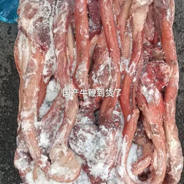 国产牛鞭价格合适
