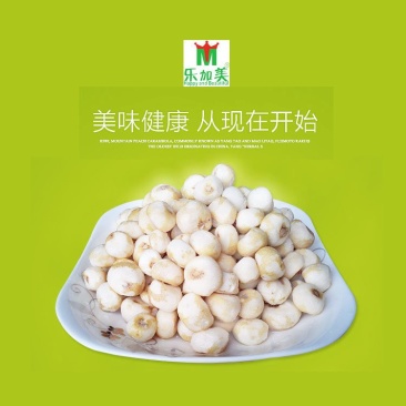 鲜品30斤珍珠马蹄冷链包邮批发珍珠马蹄荸荠