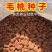 新采林木种子毛桃种子新采毛桃种籽山桃种子桃核桃树种籽