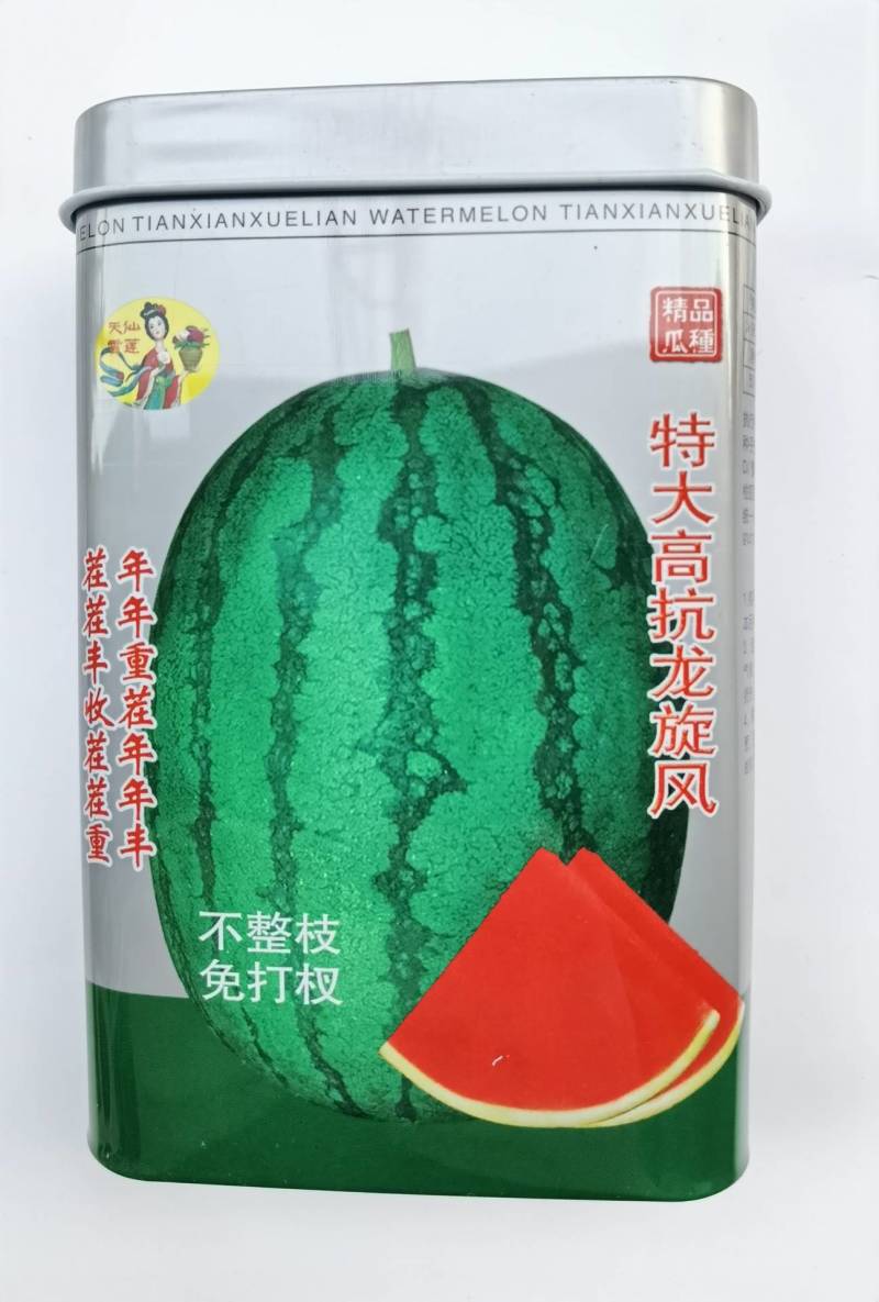 【不整枝打叉】特大高抗龙旋风西瓜种子抗重茬抗病糖度14