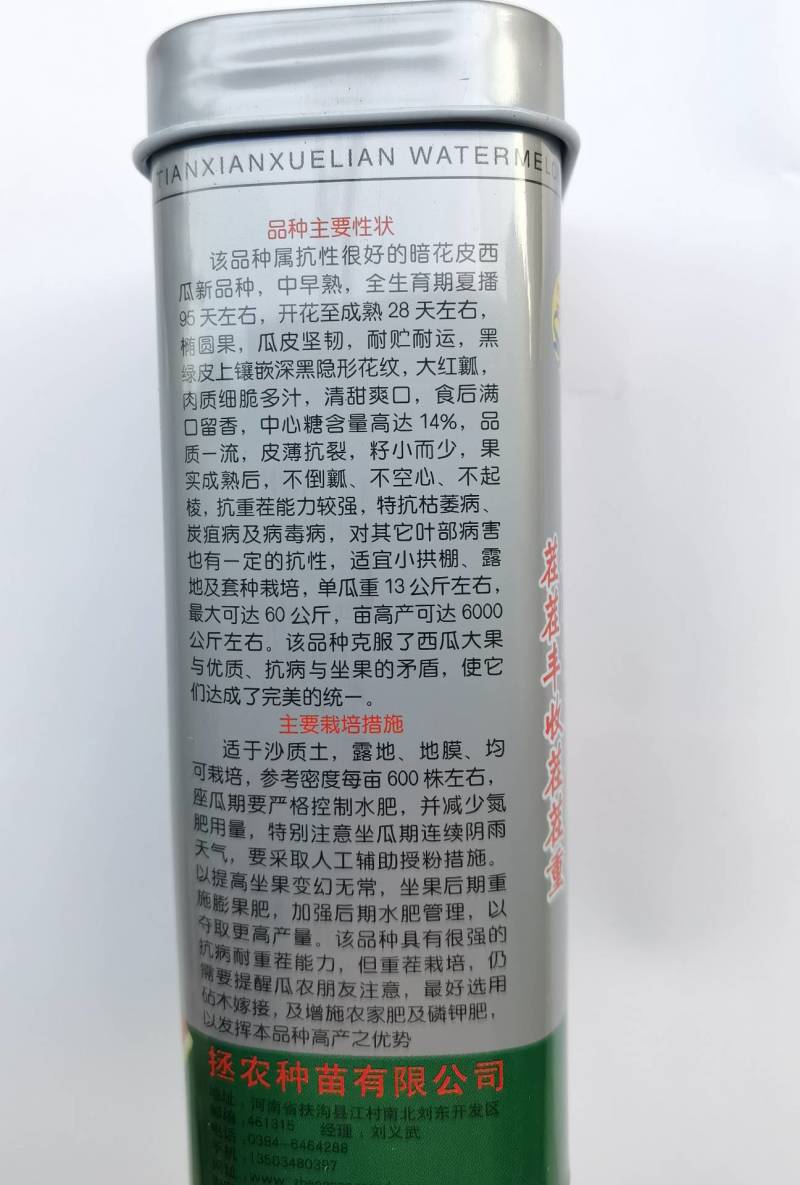 【不整枝打叉】特大高抗龙旋风西瓜种子抗重茬抗病糖度14