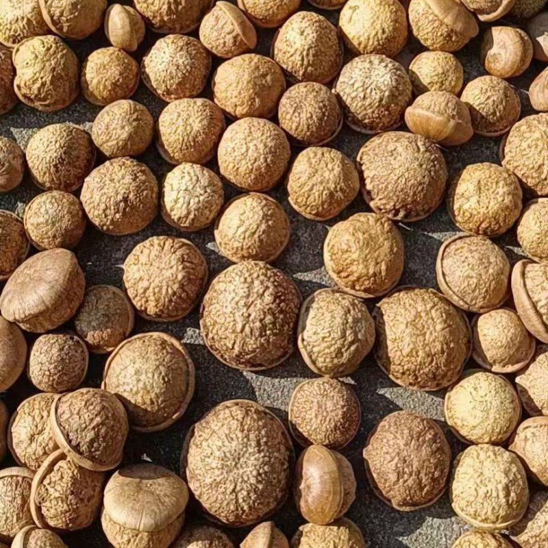 广西岑溪风流果，现货出售，干果。尾声手快有