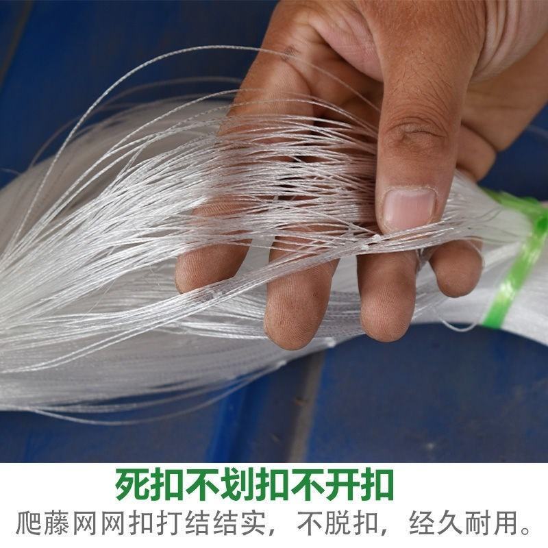 细六股豆角类用网山药网荷兰豆芸豆网爬藤网种植网攀爬网