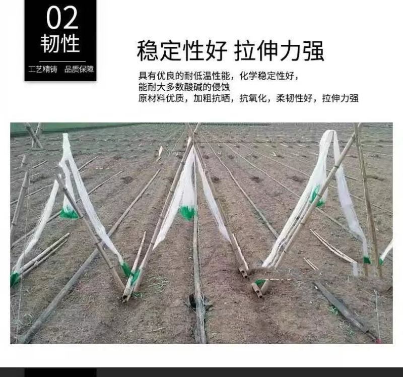 【豆角类专用爬藤网】扁豆角四季豆荷兰豆豌豆等等植物攀爬网