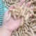 柴虫，木虫，葛藤虫，斗米虫…………………