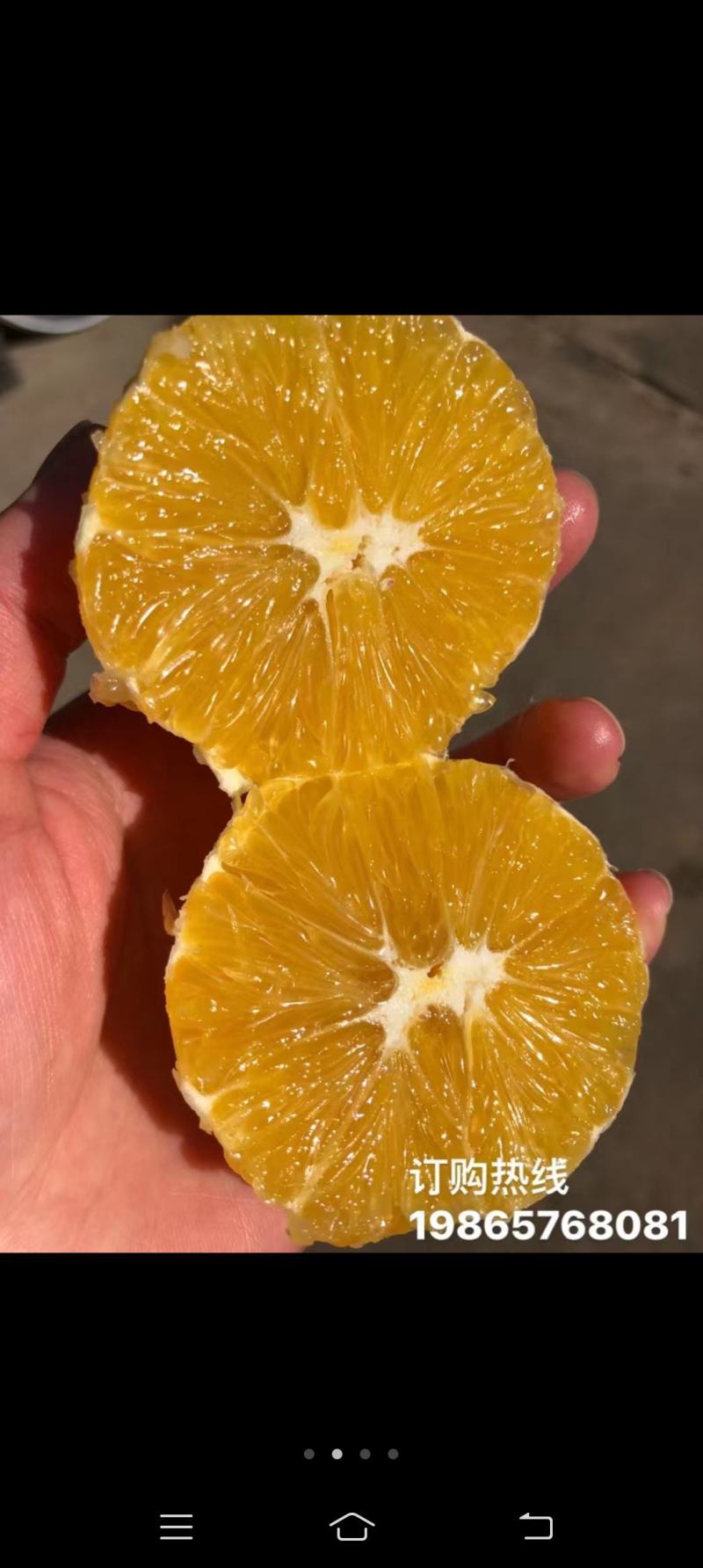 脐橙营养价值高，口感好！果面干净，皮薄汁多！