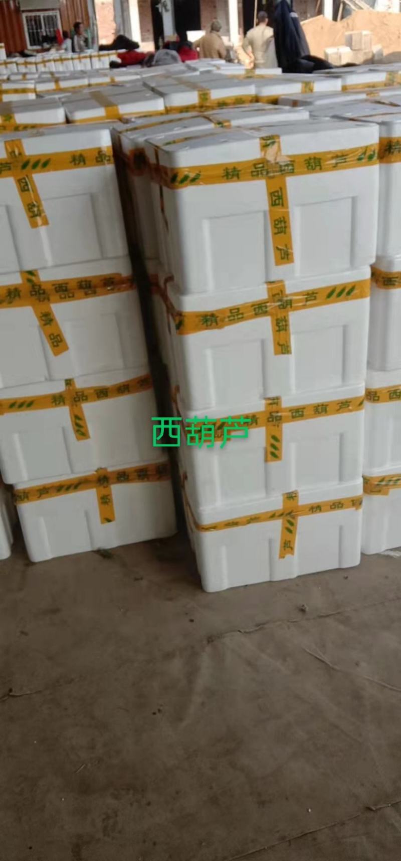 山东新鲜西葫芦瓜现摘豆角茭瓜三月瓜番瓜菜瓜特价包邮
