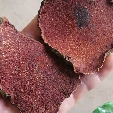 红药子红孩儿赤药干货切片各种中药材批发
