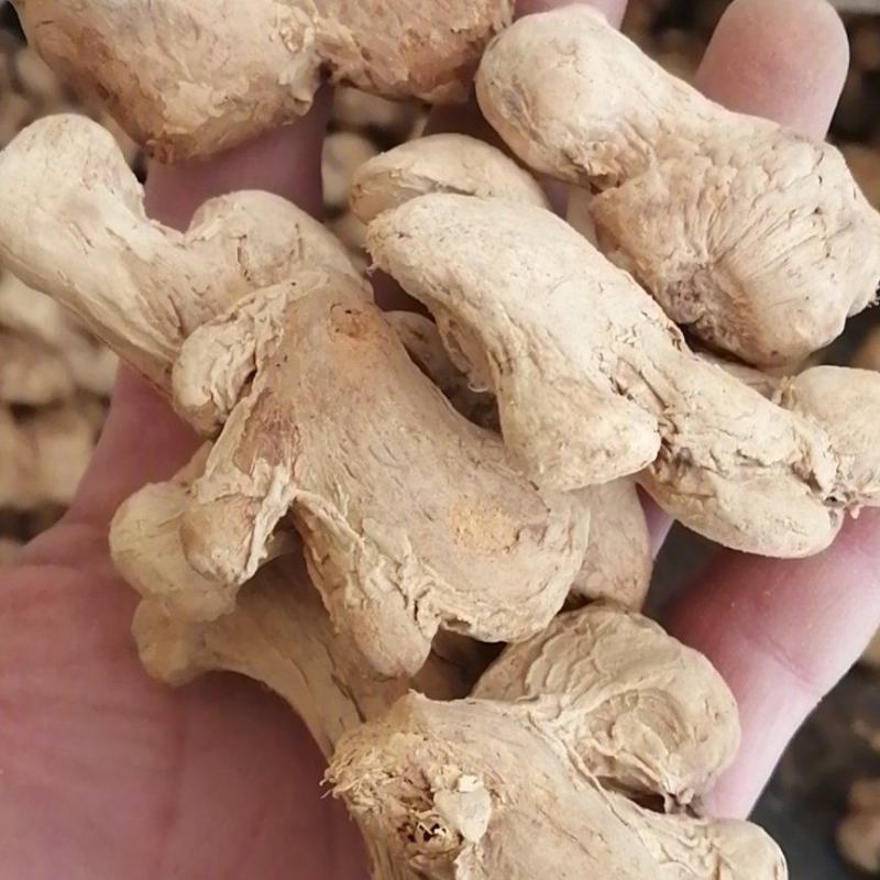炮姜泡姜干姜不满意可退换货农副产品