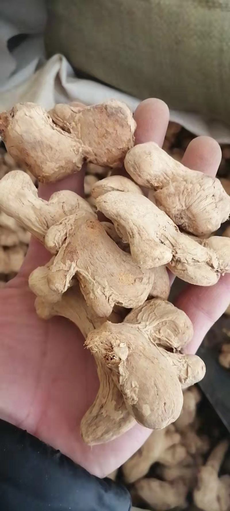 干姜干姜个炮姜无硫干姜片粉姜小黄姜一公斤起批