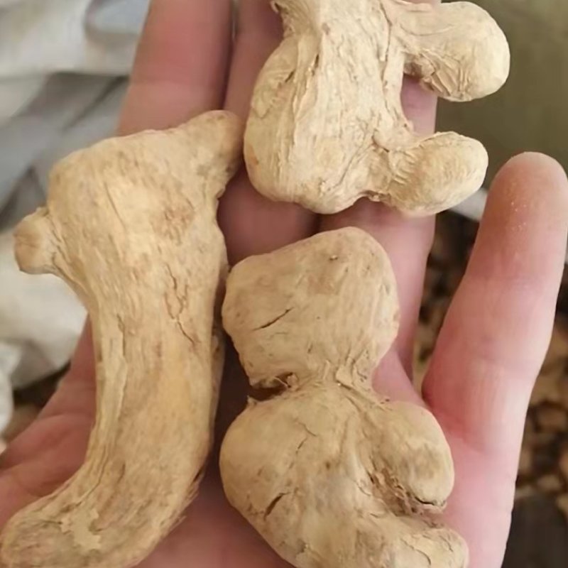 炮姜制干姜炮老姜新货各种中药材批发