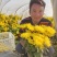 金丝皇菊，菊花种苗