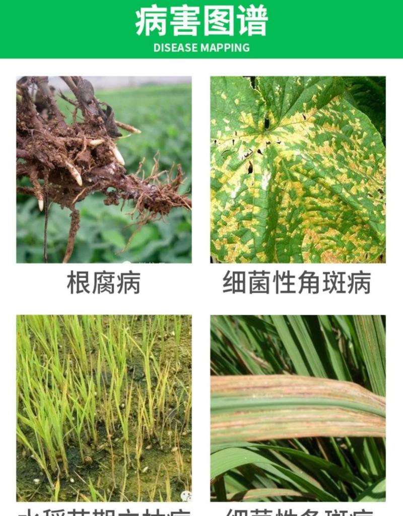 辽宁微科双功密定0.3%四霉素根腐病细菌性角斑病立枯