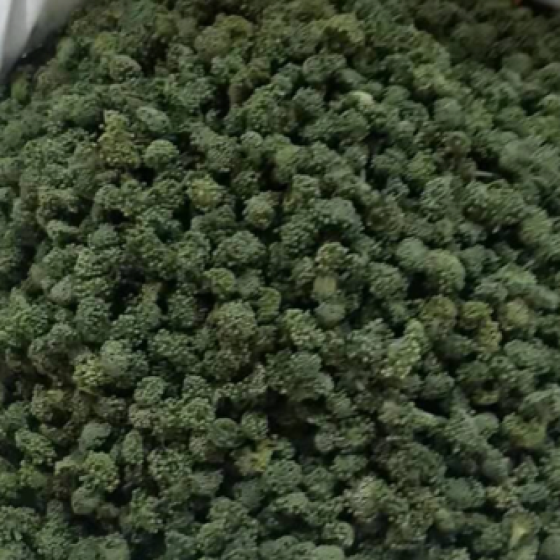 2024年新三七花云南文山三七花茶田七花500包邮