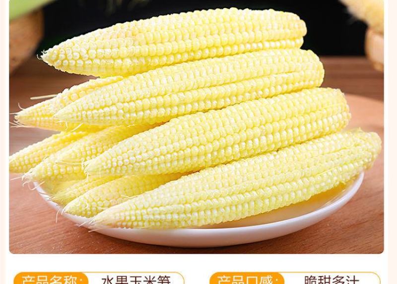 无农药现摘甜玉米笋迷你小笋水果玉米新鲜沙拉菜蔬菜食材包邮
