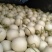 海南哈蜜，玉菇，一件代发，整车，物流，零担1000斤起。