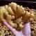 山东小黄姜批发市场小黄姜产地生姜种植基地直发
