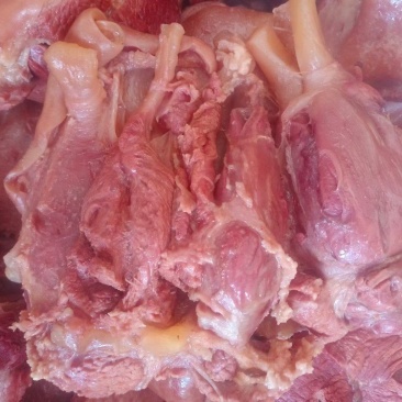现宰鲜马肉大量接单，带皮去皮可以定制。