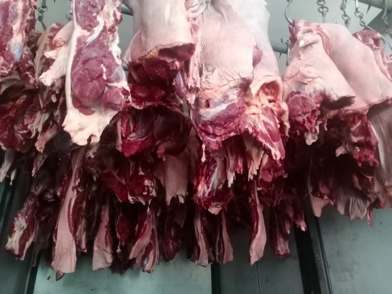 现宰鲜马肉大量接单，带皮去皮可以定制。