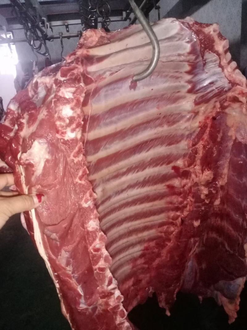 现宰鲜马肉大量接单，带皮去皮可以定制。