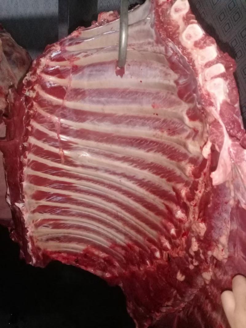 现宰鲜马肉大量接单，带皮去皮可以定制。