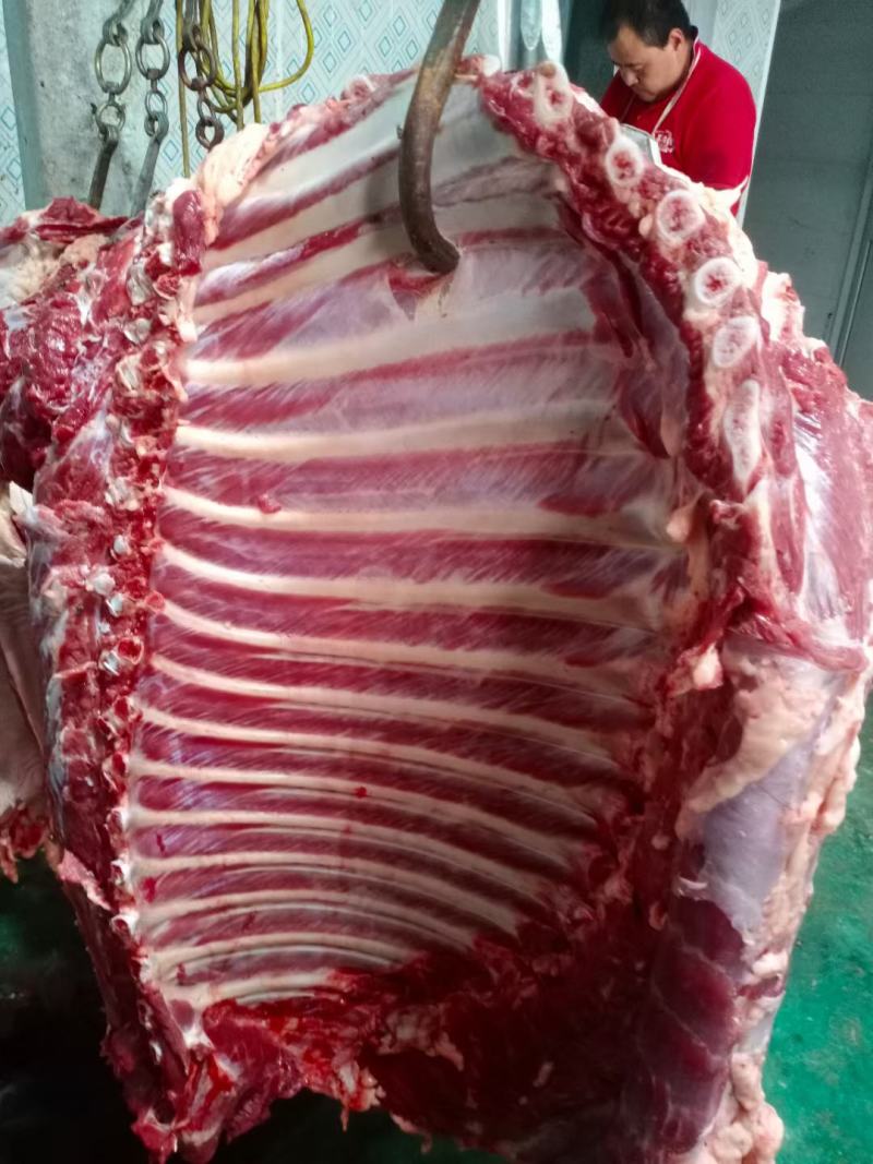 现宰鲜马肉大量接单，带皮去皮可以定制。
