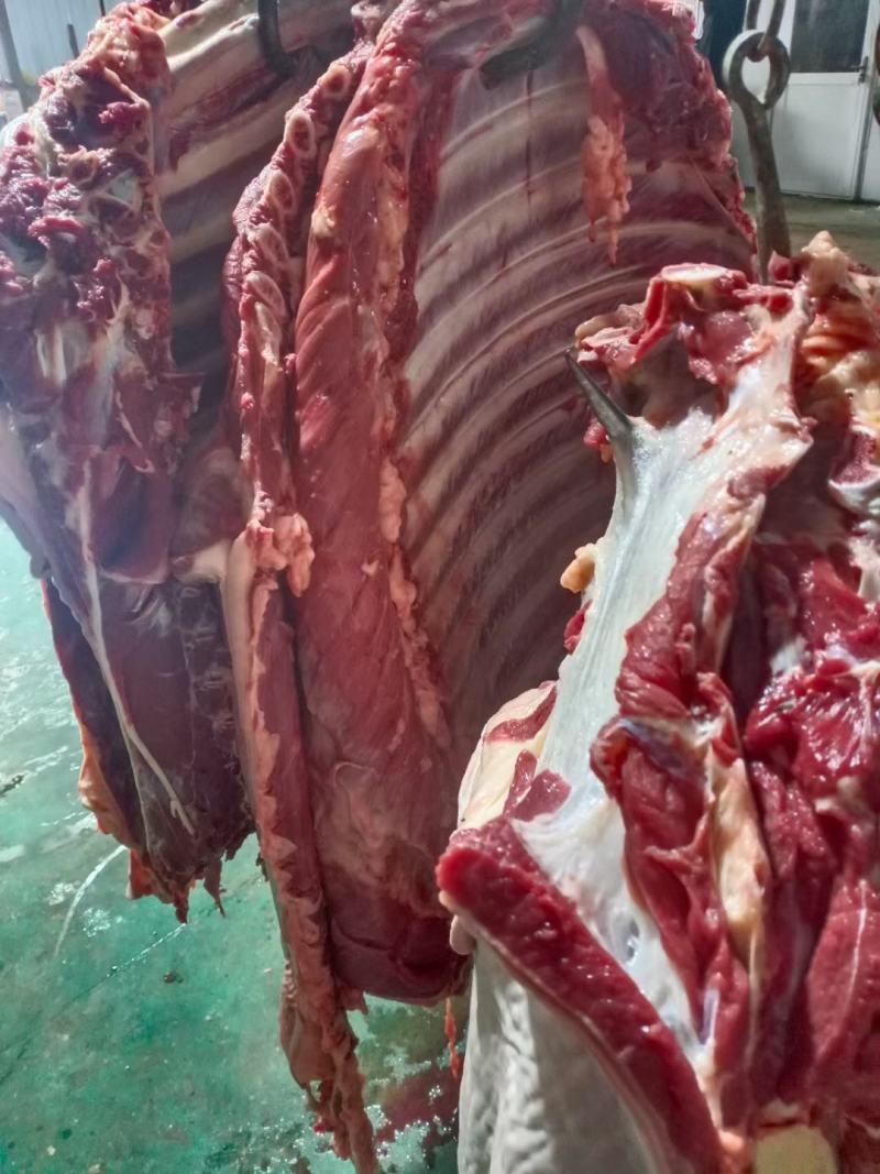 现宰鲜马肉大量接单，带皮去皮可以定制。