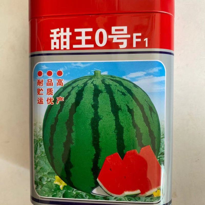 嘉禾种业甜王0号西瓜种子高产耐贮运甜王零号西瓜种子