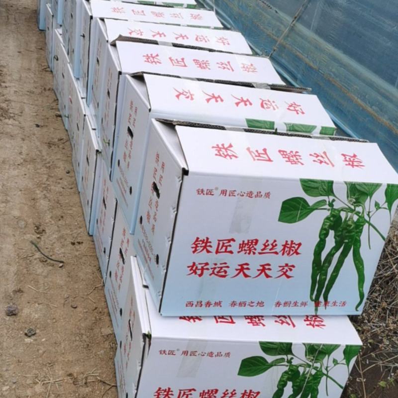 西昌香橱公司优质精品螺丝椒