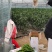 西昌香橱公司优质精品螺丝椒