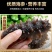 [优选]山东大连辽参即食海参海参8-40头基地直供