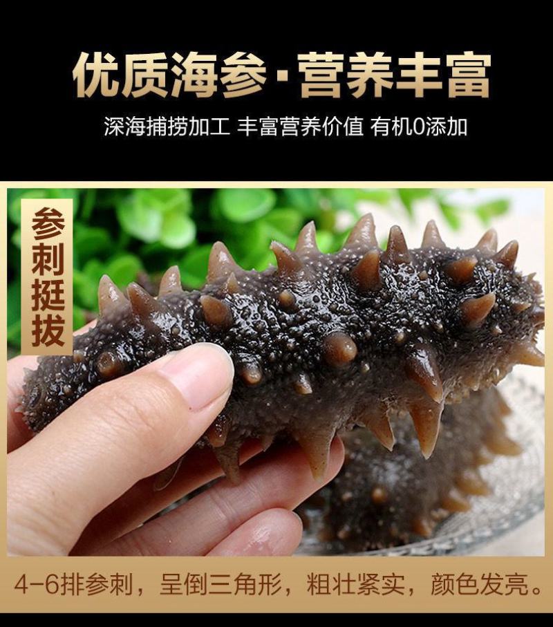 [优选]山东大连辽参即食海参海参8-40头基地直供