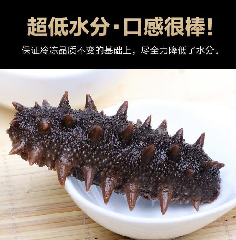 [优选]山东大连辽参即食海参海参8-40头基地直供