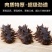 [优选]山东大连辽参即食海参海参8-40头基地直供