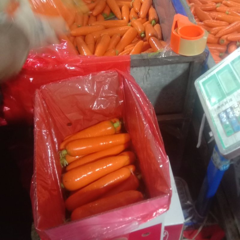 胡萝卜开封精品水洗胡萝卜大量供应中，提供各种包装