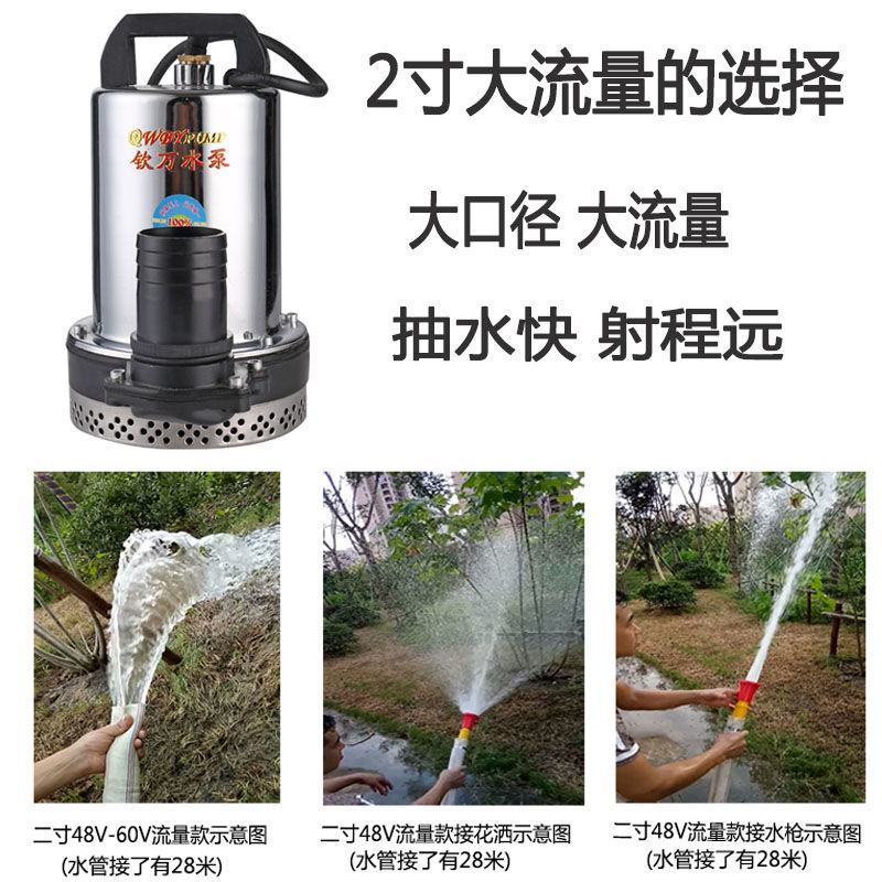 抽水泵48V高扬程直流潜水泵可插电瓶车直接使用农用水泵