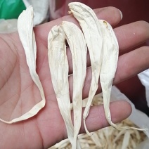 玉簪花玉簪根干货无硫不满意可退换货