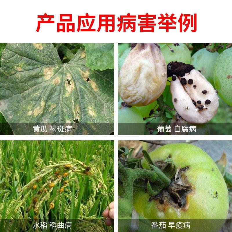 德国拜耳拿敌稳肟菌酯戊唑醇水稻纹枯病稻瘟病白粉病杀菌剂1