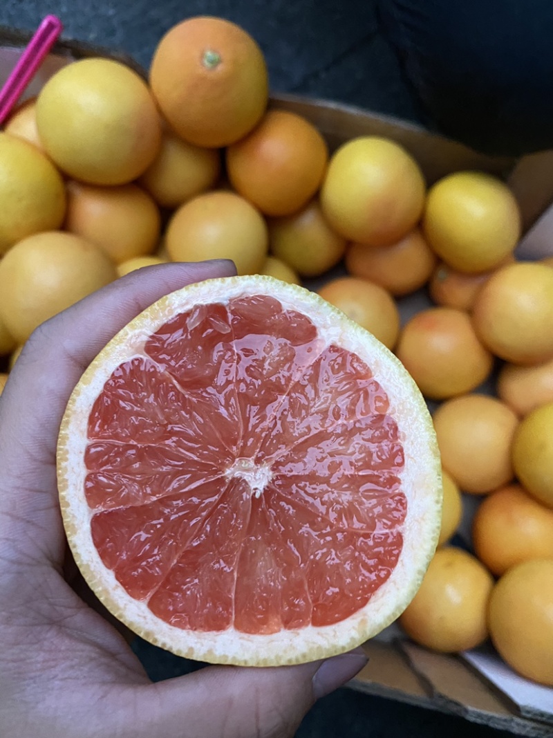 进口西柚南非西柚以色列西柚精品加工级小果