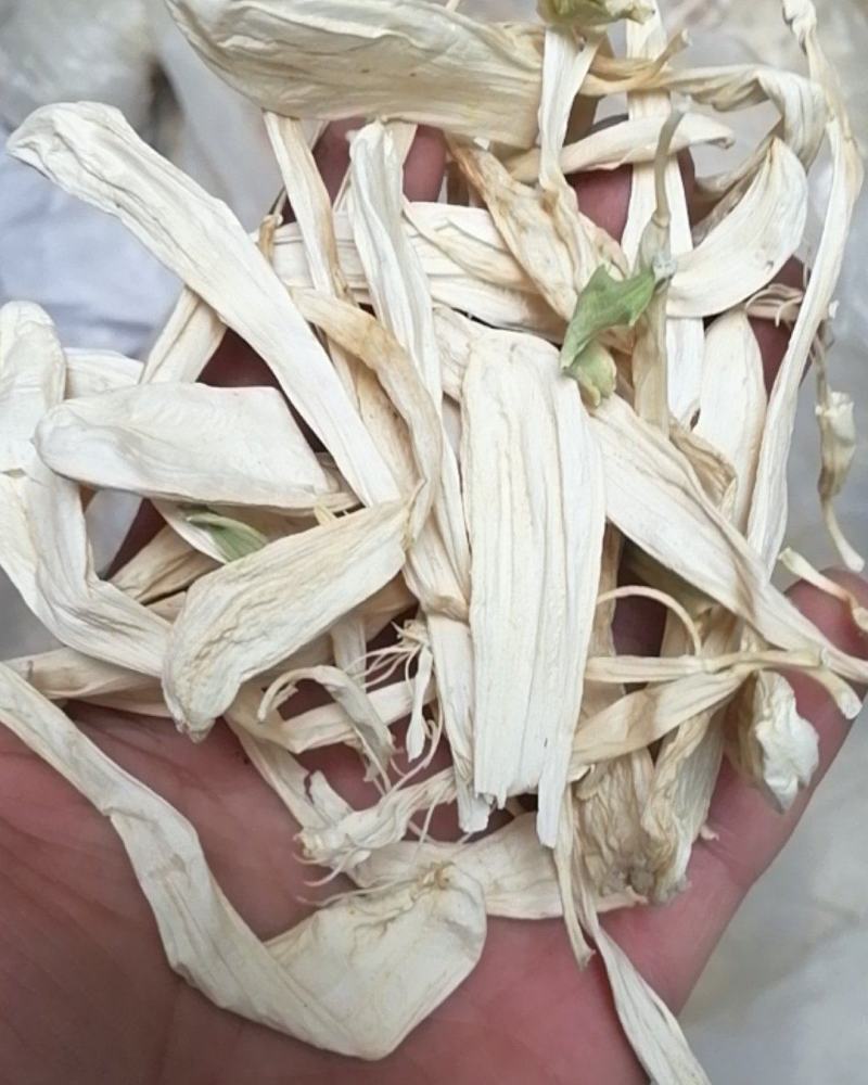 玉簪花玉簪根干货无硫不满意可退换货