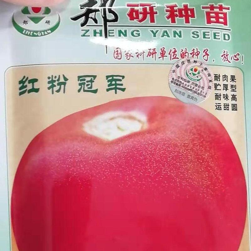 郑研红粉冠军西红柿种子，2000粒