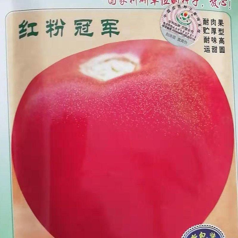郑研红粉gj西红柿种子2000，抗病高产