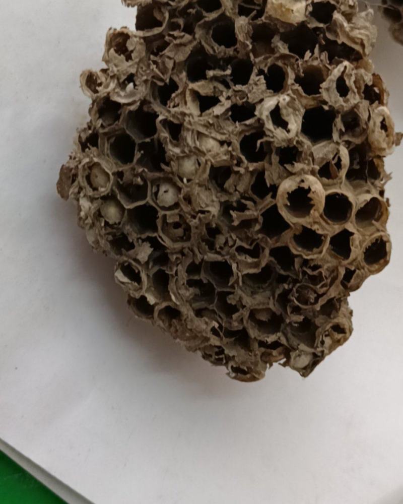蜂房峰房产地山东马蜂窝蜂房批发各种中药材量大从优