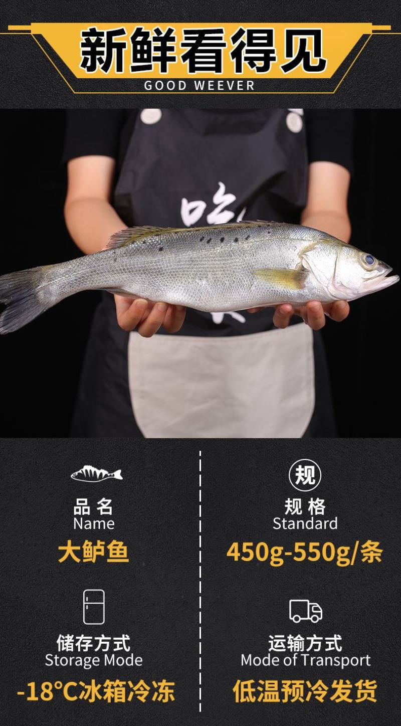 【包邮10斤鲈鱼】批发4斤5斤新鲜海产水鲜大海鲈鱼多规格